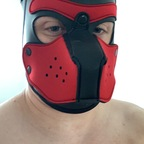 pupfondue avatar